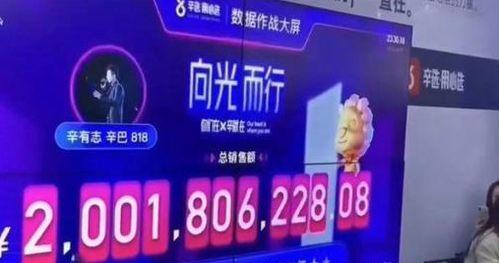 辛巴爆料快手收五一亿的视频,快手五一亿元内幕曝光 第2张 辛巴爆料快手收五一亿的视频,快手五一亿元内幕曝光 第2张