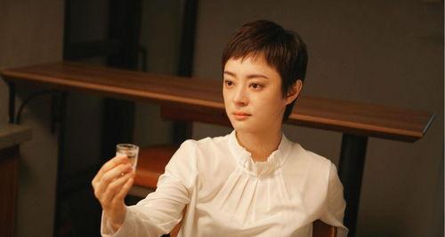 孙俪电视剧安家在线观看,孙俪演绎房产中介传奇,在线观看见证奋斗人生 第2张 孙俪电视剧安家在线观看,孙俪演绎房产中介传奇,在线观看见证奋斗人生 第2张